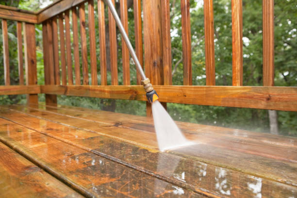 Best Vinyl Siding Pressure Washing in Wurtland, KY